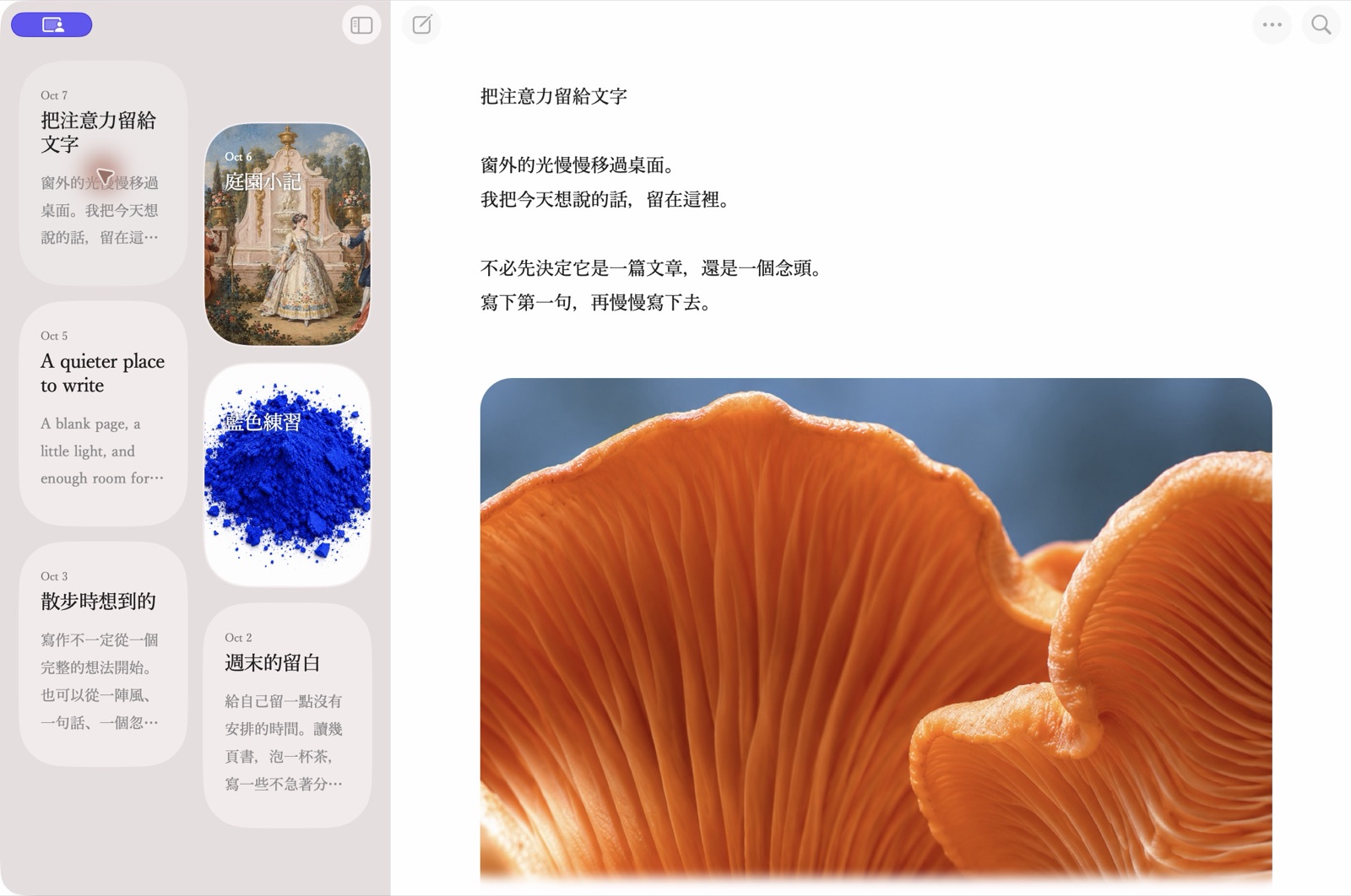 Nous in horizontal writing mode: a card sidebar and a quiet page with text and an illustration.